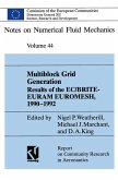 Multiblock Grid Generation (eBook, PDF)