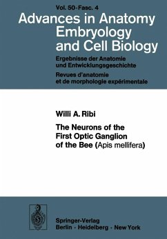 The Neurons of the First Optic Ganglion of the Bee (Apis mellifera) (eBook, PDF) - Ribi, W. A.