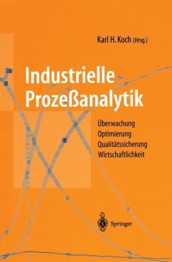 Industrielle Prozeßanalytik (eBook, PDF)