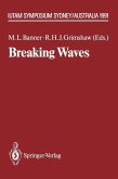 Breaking Waves (eBook, PDF)
