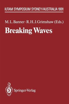 Breaking Waves (eBook, PDF)