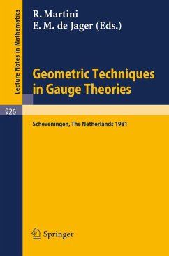 Geometric Techniques in Gauge Theories (eBook, PDF)