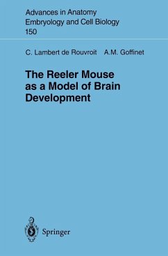 Cover The Reeler Mouse as a Model of Brain Development (eBook, PDF)