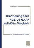 Bilanzierung nach HGB, US-GAAP und IAS im Vergleich (eBook, PDF)