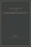 Handbuch der Geisteskrankheiten (eBook, PDF)