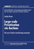 Large-scale Privatization via Auctions (eBook, PDF)