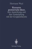 Riemanns geometrische Ideen, ihre Auswirkung und ihre Verknüpfung mit der Gruppentheorie (eBook, PDF)