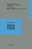 Städtische Strukturen im Wandel (eBook, PDF)