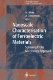 Nanoscale Characterisation of Ferroelectric Materials (eBook, PDF)