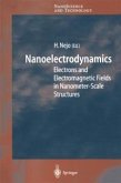 Nanoelectrodynamics (eBook, PDF)