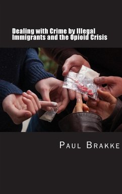 Dealing with Crime by Illegal Immigrants and the Opioid Crisis - Brakke, Paul