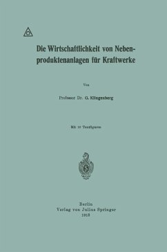 Die Wirtschaftlichkeit von Nebenproduktenanlagen für Kraftwerke (eBook, PDF) - Klingenberg, G.