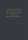 Atlas der Anatomie des Menschlichen Körpers im Röntgenbild (eBook, PDF)