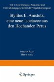 Stylites E. Amstutz, eine neue Isoëtacee aus den Hochanden Perus (eBook, PDF)