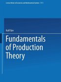 Fundamentals of Production Theory (eBook, PDF)