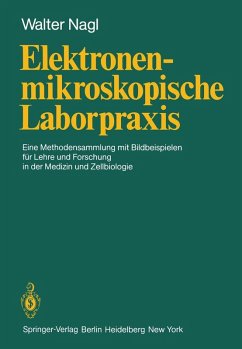 Elektronenmikroskopische Laborpraxis (eBook, PDF) - Nagl, W.