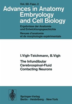 The Infundibular Cerebrospinal-Fluid Contacting Neurons (eBook, PDF) - Vigh-Teichmann, I.; Vigh, B.