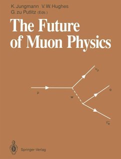 The Future of Muon Physics (eBook, PDF)