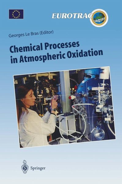 Chemical Processes in Atmospheric Oxidation (eBook, PDF)