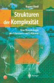 Strukturen der Komplexität (eBook, PDF)