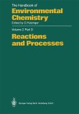 Reactions and Processes (eBook, PDF)