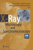 X-Ray Microscopy and Spectromicroscopy (eBook, PDF)