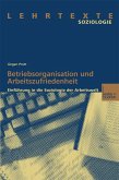 Betriebsorganisation und Arbeitszufriedenheit (eBook, PDF)