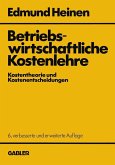 Betriebswirtschaftliche Kostenlehre (eBook, PDF)