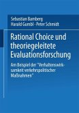 Rational Choice und theoriegeleitete Evaluationsforschung (eBook, PDF)