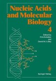 Nucleic Acids and Molecular Biology 4 (eBook, PDF)