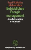 Betriebliches Energiemanagement (eBook, PDF)