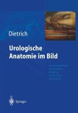 Urologische Anatomie im Bild (eBook, PDF)