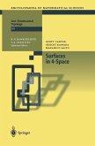 Surfaces in 4-Space (eBook, PDF)