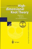 High-dimensional Knot Theory (eBook, PDF)