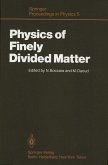 Physics of Finely Divided Matter (eBook, PDF)