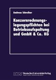 Konzernrechnungslegungspflichten bei Betriebsaufspaltung und GmbH & Co. KG (eBook, PDF)