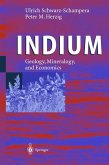 Indium (eBook, PDF)