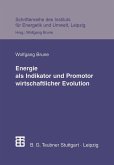 Energie als Indikator und Promotor wirtschaftlicher Evolution (eBook, PDF)