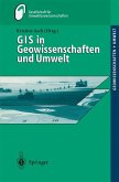 GIS in Geowissenschaften und Umwelt (eBook, PDF)