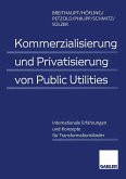 Kommerzialisierung und Privatisierung von Public Utilities (eBook, PDF)