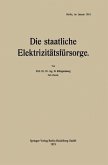 Die staatliche Elektrizitätsfürsorge (eBook, PDF)