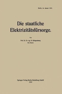 Die staatliche Elektrizitätsfürsorge (eBook, PDF) - Klingenberg, Georg