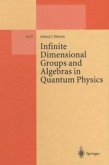 Infinite Dimensional Groups and Algebras in Quantum Physics (eBook, PDF)