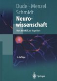 Neurowissenschaft (eBook, PDF)
