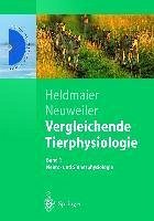 Vergleichende Tierphysiologie (eBook, PDF) - Heldmaier, Gerhard; Neuweiler, Gerhard