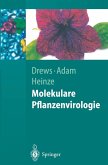 Molekulare Pflanzenvirologie (eBook, PDF)