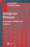 Energie aus Biomasse (eBook, PDF)