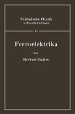 Ferroelektrika (eBook, PDF)