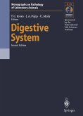Digestive System (eBook, PDF)