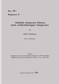 Stabilität elastischer Platten unter zufallsabhängiger Temperatur (eBook, PDF)